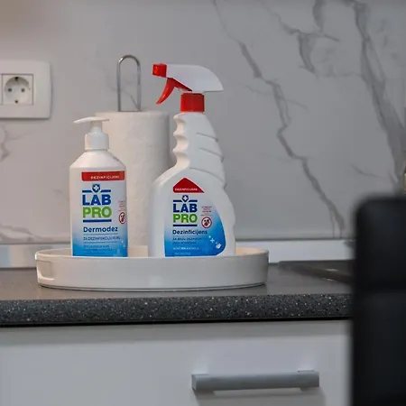 Center Sea Apartman Porec