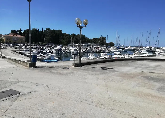 Lejlighed Center Sea *